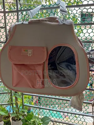 ৬-১২ মাস বয়সী স্ত্রী পিওরব্রেড পার্সিয়ান