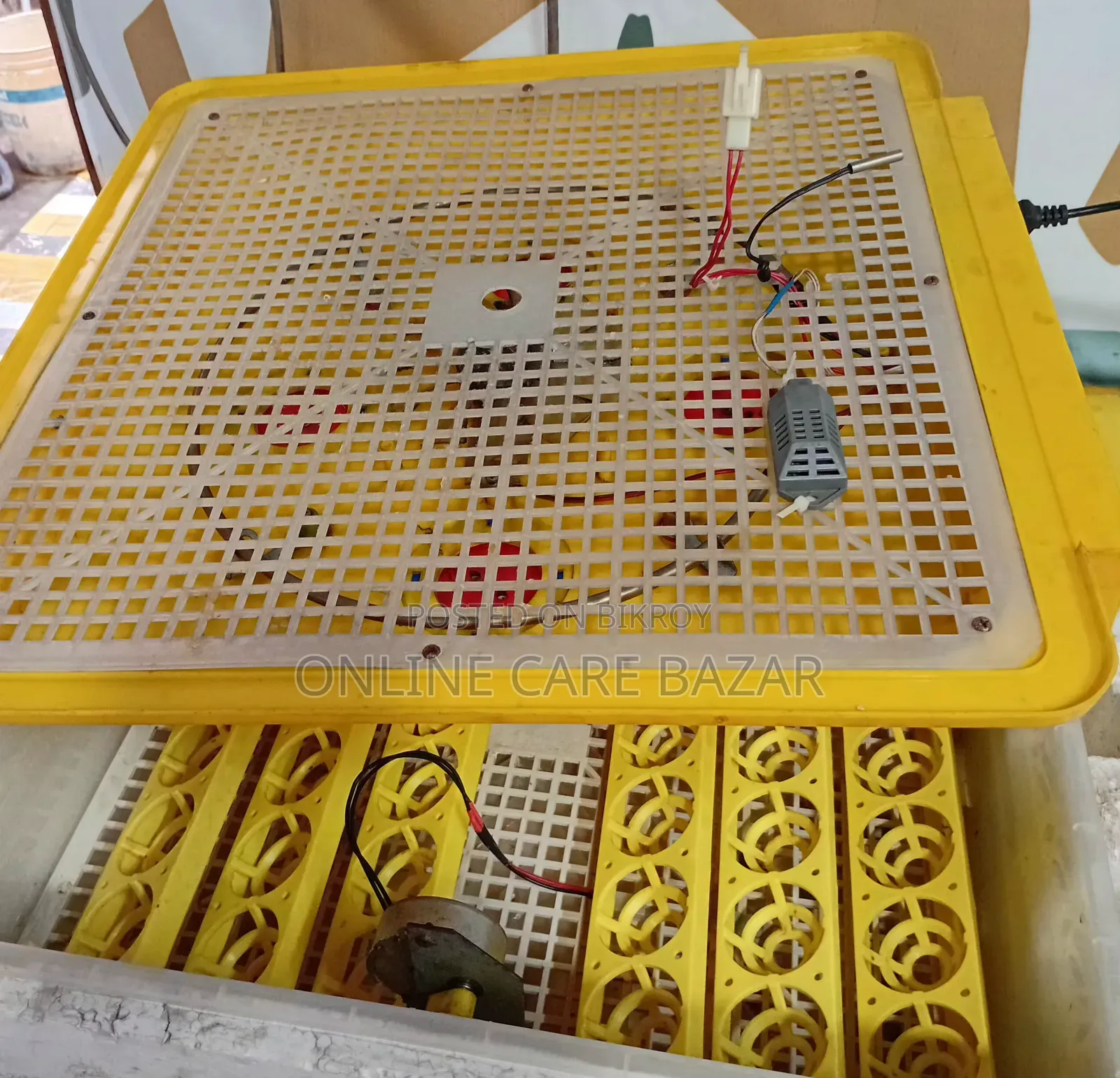 ৪৮ চায়না অটো ইনকিউবেটর