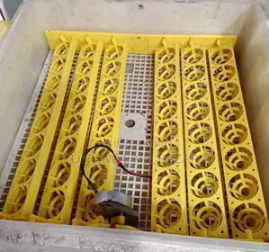 ৪৮ চায়না অটো ইনকিউবেটর