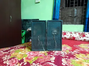 Sony Rv8 Surround Speaker