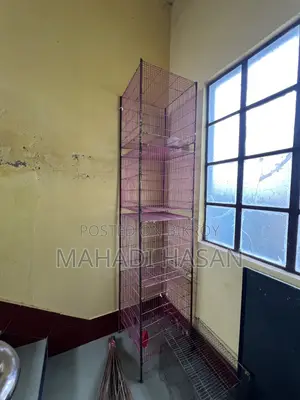 Bird Cages