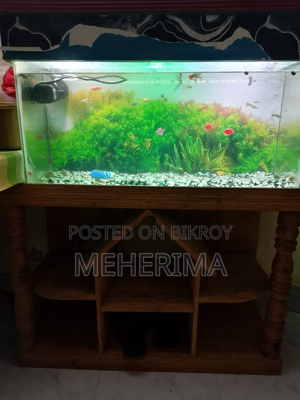 Aquarium Set