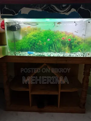 Aquarium Set