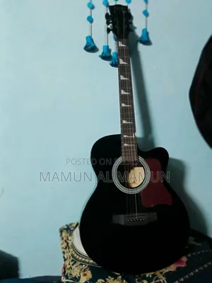 টিজিএম এজি৪১ গিটার