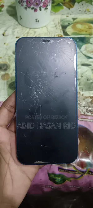 অ্যাপল আইফোন ১২ ১২৮ জিবি ব্লু