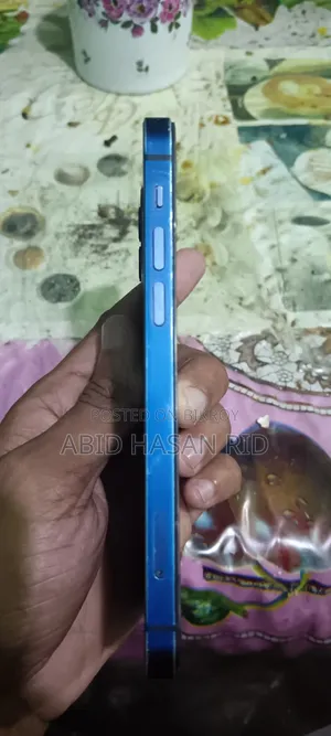 অ্যাপল আইফোন ১২ ১২৮ জিবি ব্লু