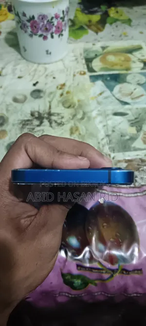 অ্যাপল আইফোন ১২ ১২৮ জিবি ব্লু