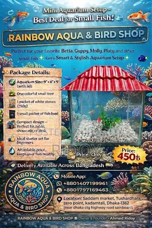 Aquarium (6*9*9)