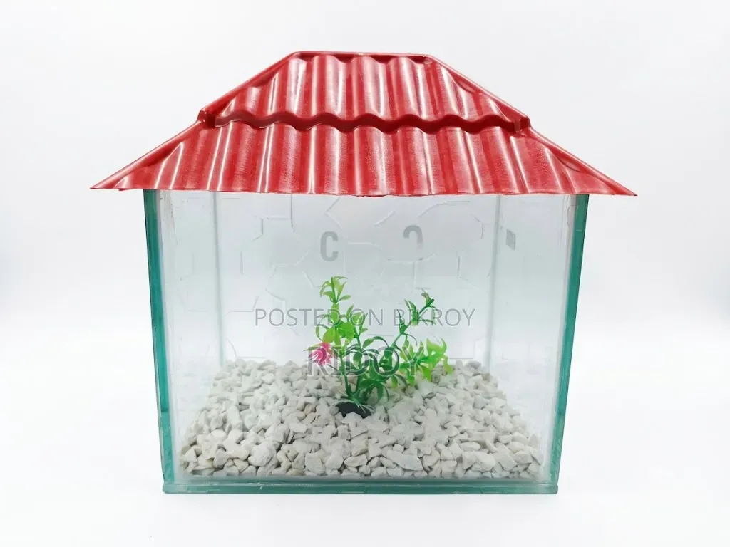 Aquarium (6*9*9)