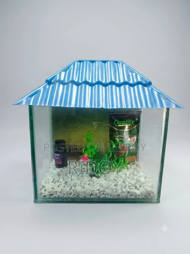 Aquarium (6*9*9)