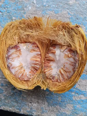 লালমনির হাটের ভাল মানের সুপারি