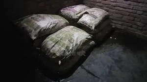 লালমনির হাটের ভাল মানের সুপারি