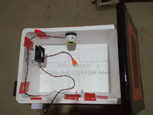 40-50 Egg Incubator / Hatching Machine