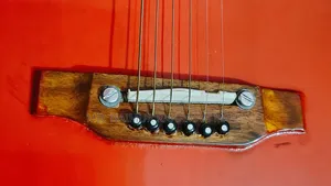 সিগনেচার গিটার মডেল ২৬৫