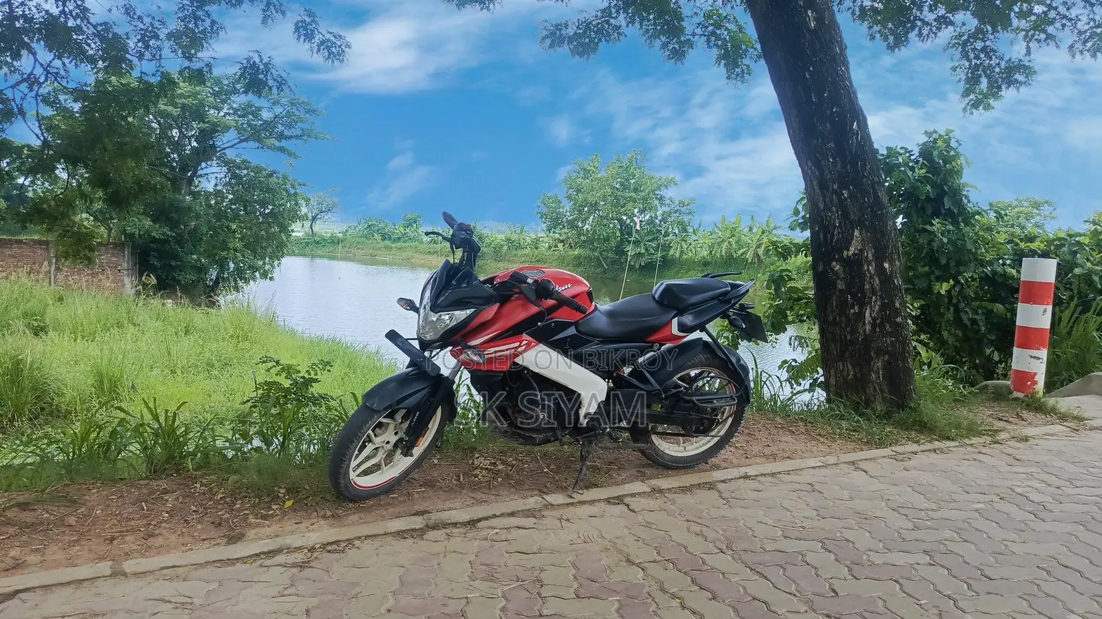Bajaj Pulsar NS 160 2021 Red