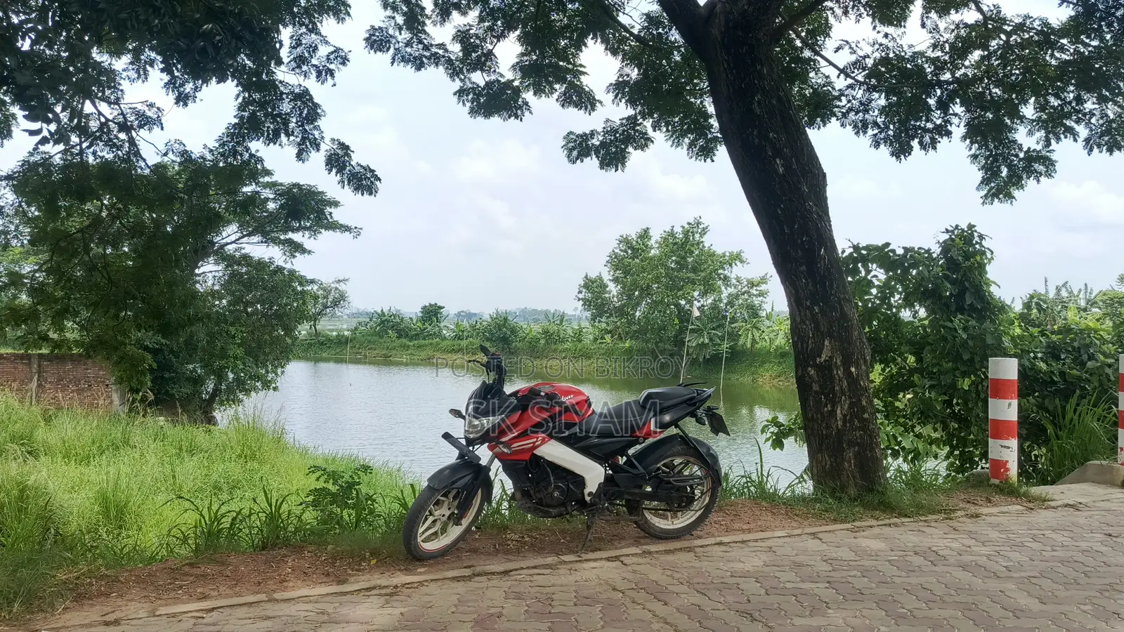 Bajaj Pulsar NS 160 2021 Red