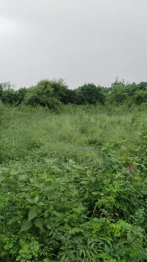 10 Katha Sector #10, Purbachal