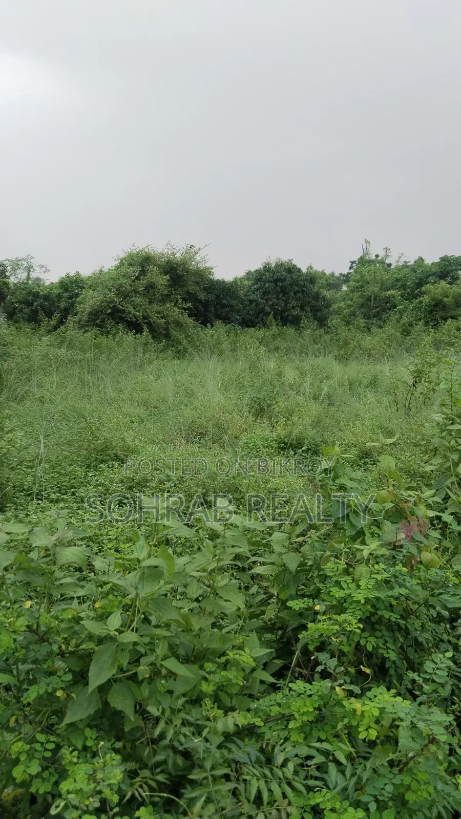 10 Katha Sector #10, Purbachal