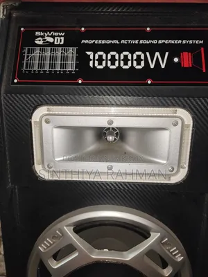 Skyview Dj Professional Sound Box (Double Woofer) – ভালো কন্ডিশন