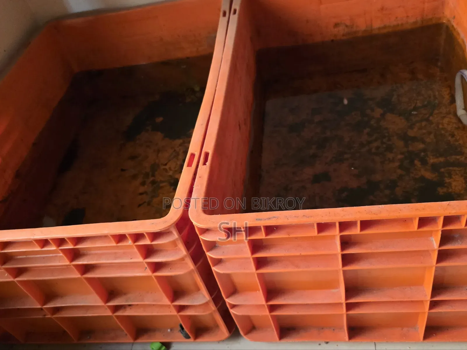 Fish Crate