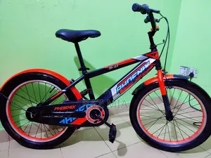 20" Phoenix বাচ্চাদের সাইকেল