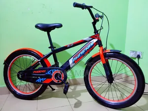 20" Phoenix বাচ্চাদের সাইকেল