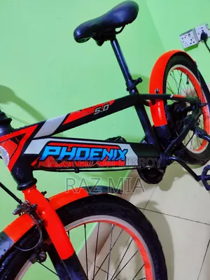 20" Phoenix বাচ্চাদের সাইকেল