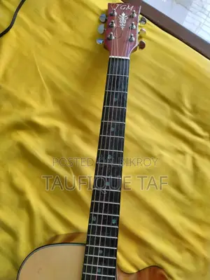 TGM Guitar Sell in Fresh Best Condition