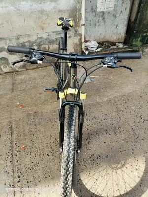 Veloce cycle