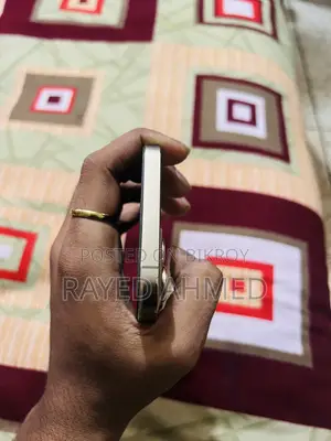 অ্যাপল আইফোন ১২ প্রো ম্যাক্স ২৫৬ জিবি রোজ গোল্ড