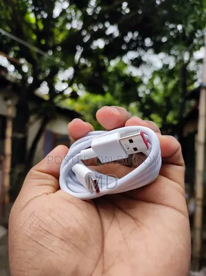 Xiaomi 120w Cherger