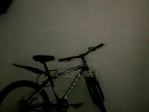 Cycle Bicycle