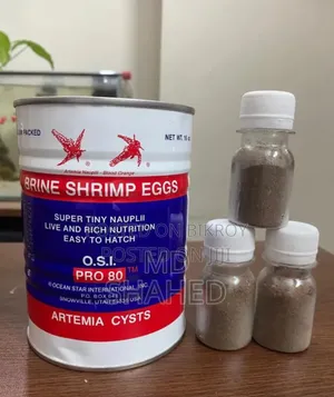 Live Fish Food. Brine Shrimp