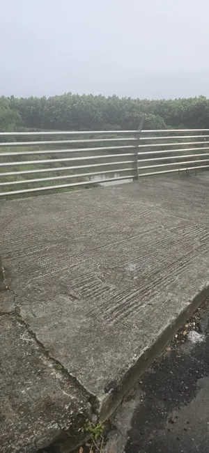 পূর্বাচল সেক্টর-২৩ রোড-৩০১ আদিবাসী ক্যাটাগরি প্লট