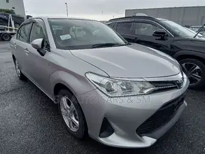 Toyota Axio 2021 Silver