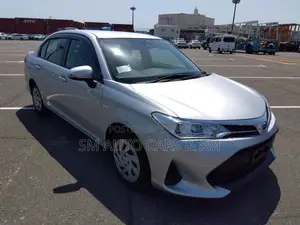 Toyota Axio 2021 Silver