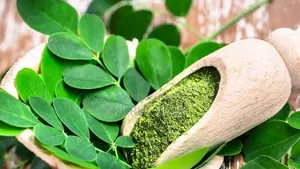 সজনে পাতার গুঁড়ো (Moringa Powder)