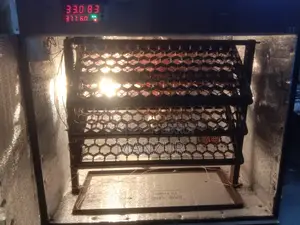 ডিম থেকে বাচ্চা ফুটানোর ইনকিউবেটর