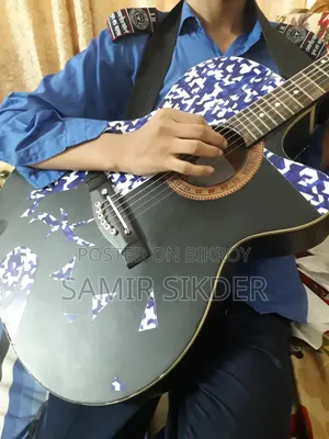 সিগনেচার ২৬৫ গিটার