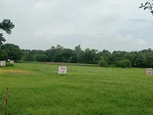 Land For Sale (Purbachal)
