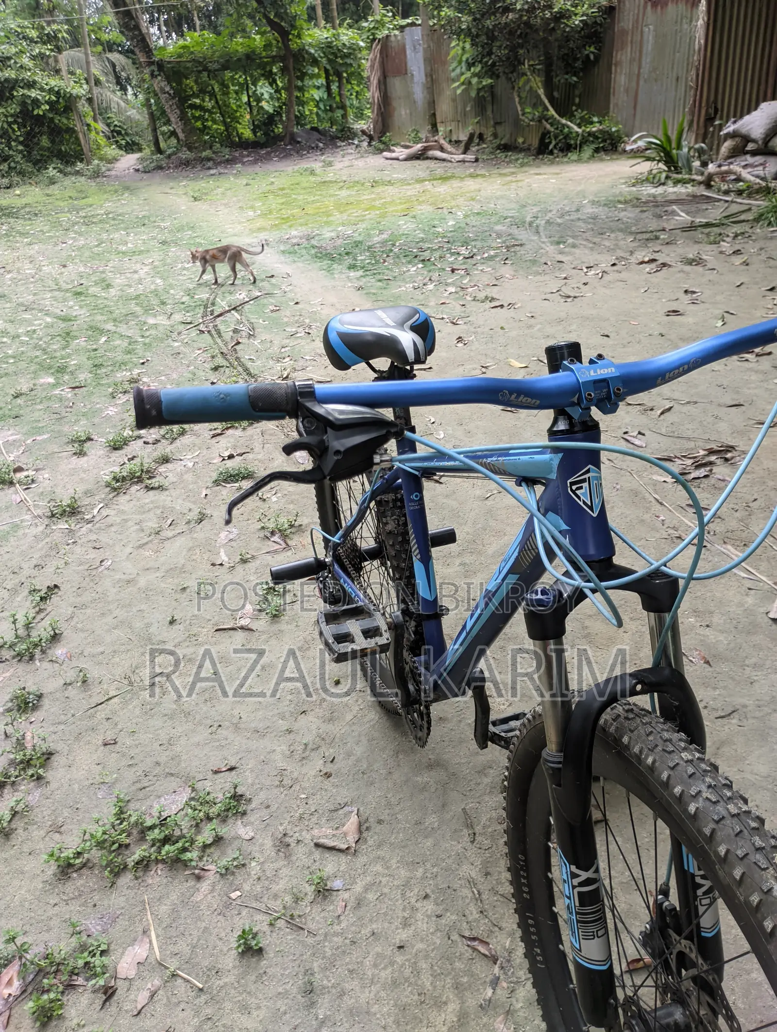 Full fresh bicycle for sale