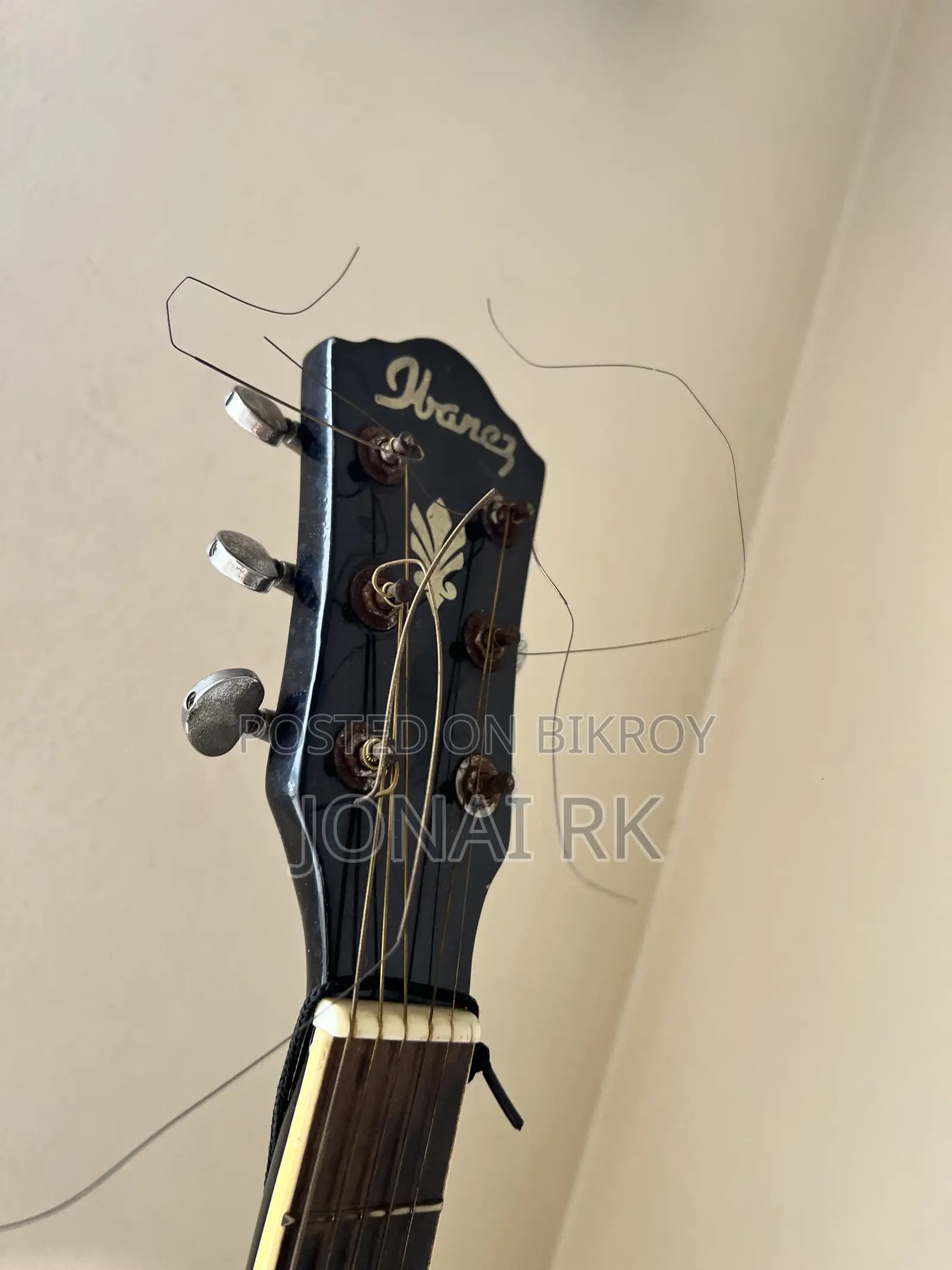 Ibanez Guitar Japanese Variant Acoustic Aeg10e