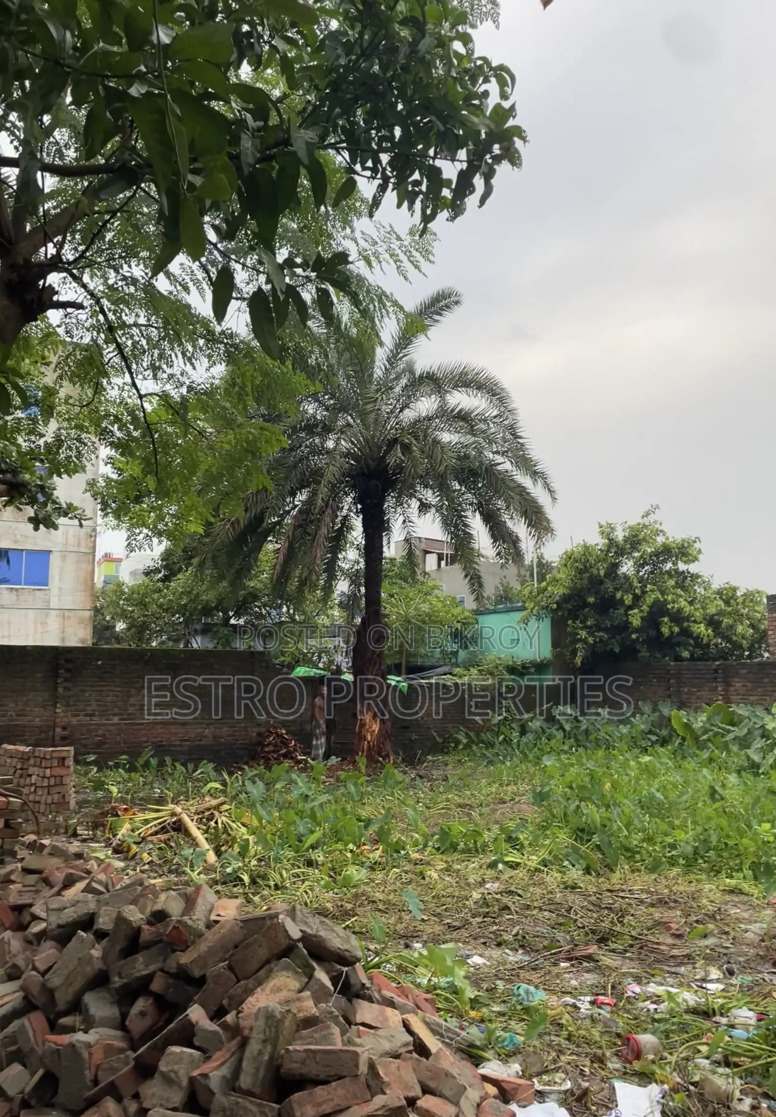 ৫ কাঠা জমি বিক্রয় হবে