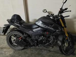হোন্ডা হর্নেট ২০২৫ গ্রে