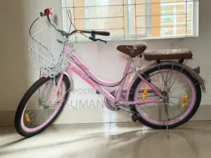 লেডিস সাইকেল
