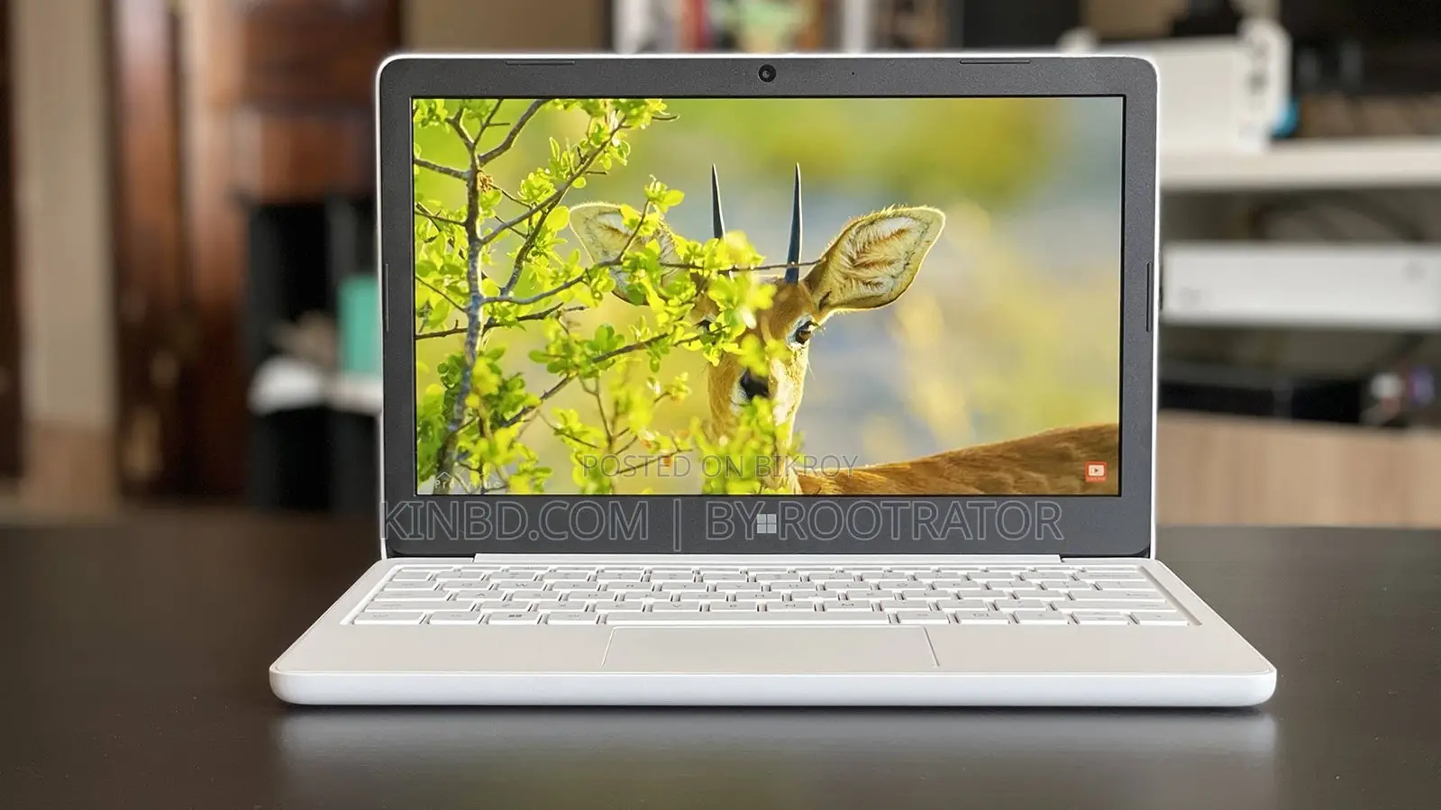 ল্যাপটপ Microsoft Surface Laptop SE 8GB Intel Celeron SSD 128GB