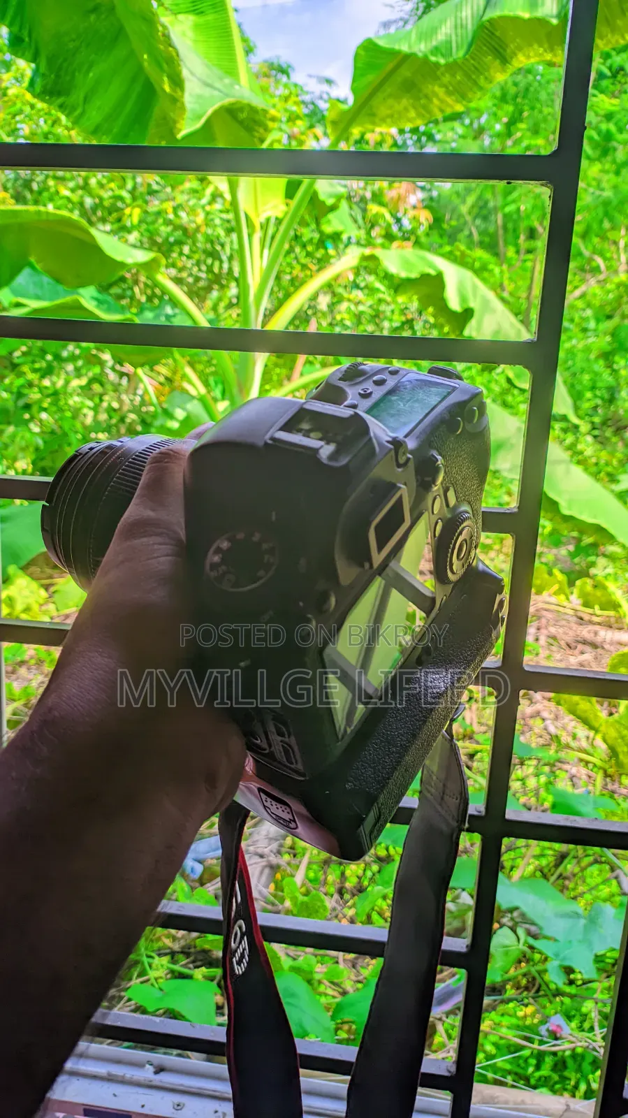 ক্যানন ৬ডি ৮৫মিমি ক্যানন লেন্স