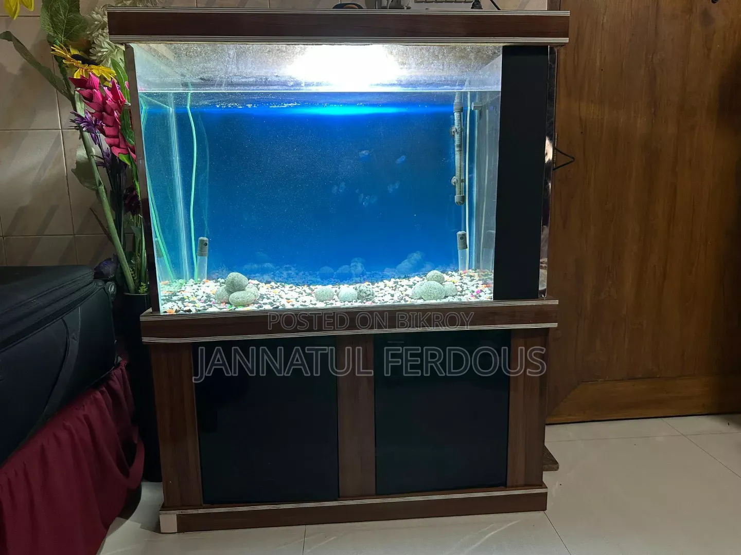 Large Fish Aquarium