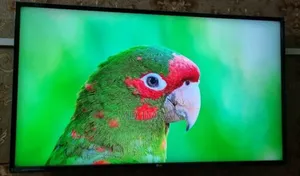43-inch TV LG Voice Control