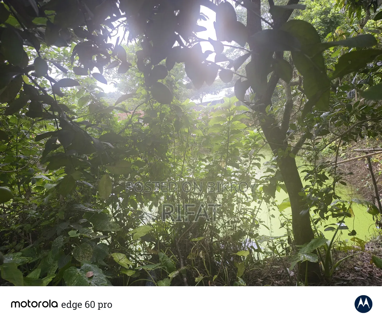 নাটোর সদরে ২ বেডরুমের বাড়ি বিক্রয় হবে